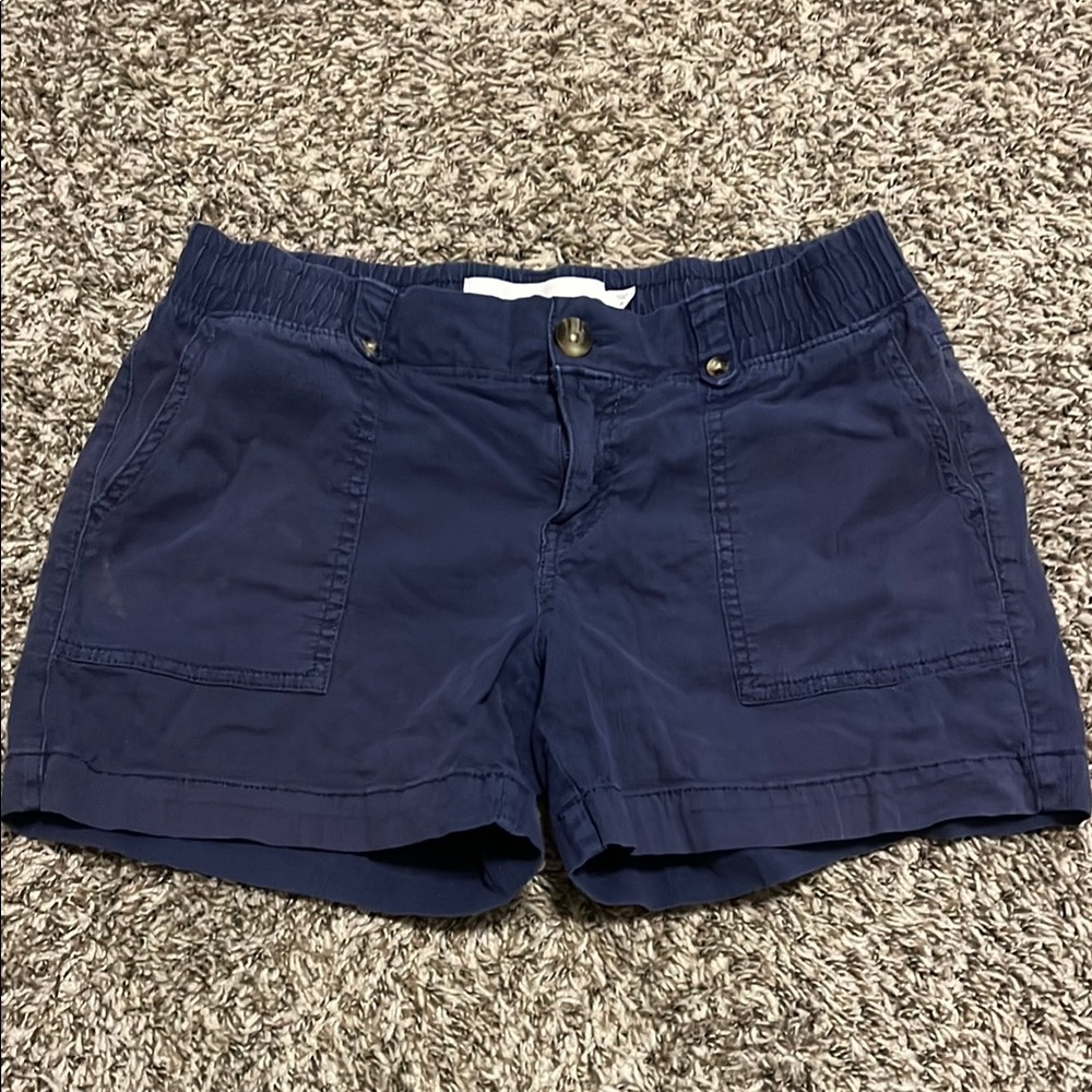 Sonoma Blue Cargo Shorts with Classic Design